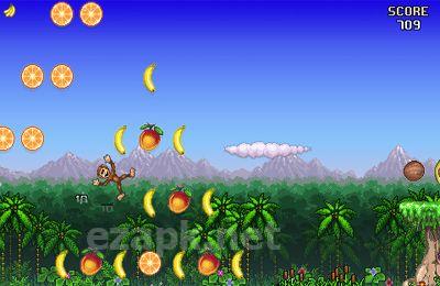 Monkey Flight