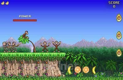 Monkey Flight