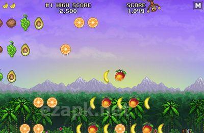Monkey Flight