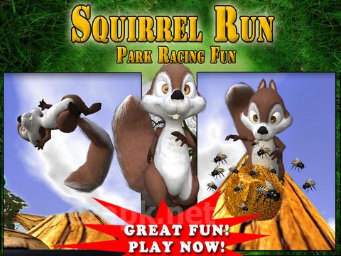 Squirrel Run