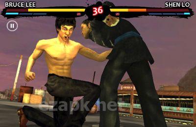 Bruce Lee Dragon Warrior