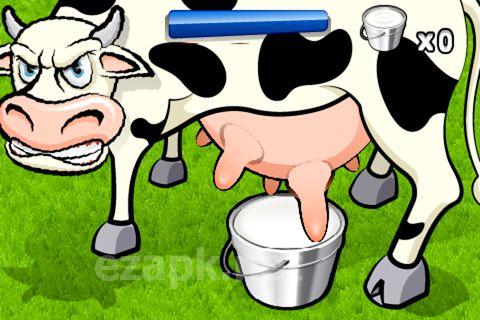Milk the cow