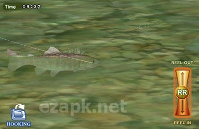 Fly Fishing 3D