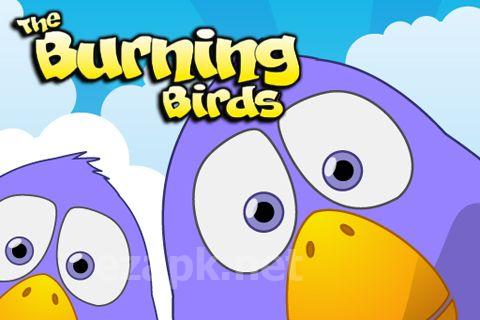 Burning Birds