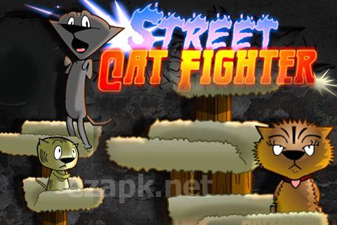 Street cat fighter