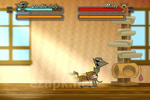 Street cat fighter