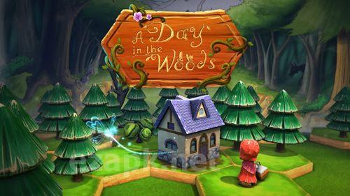 A day in the woods