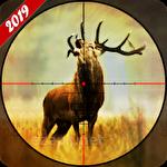 Deer hunting 2019