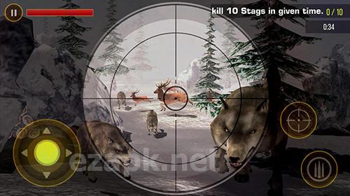 Deer hunting 2019