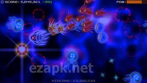 Silverfish