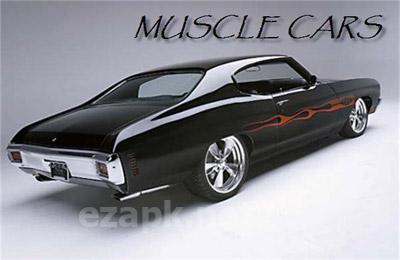 Muscle Run