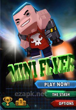 MiniFlyer