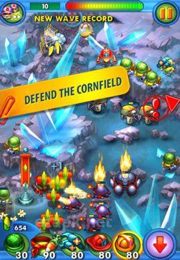 Corn Quest