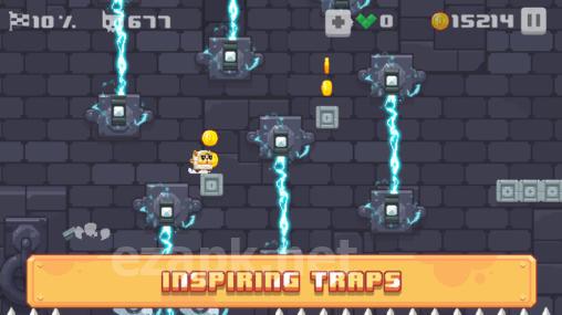 Cat knight story