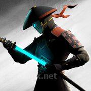 Shadow fight 3