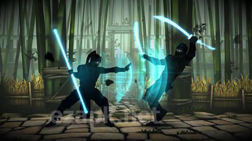 Shadow fight 3