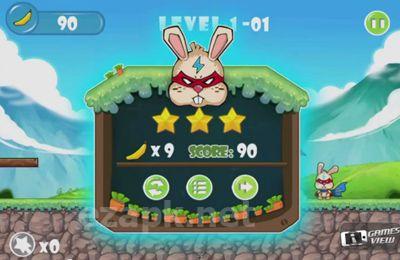 Sonics Rabbit