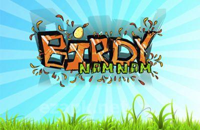 Birdy Nam Nam