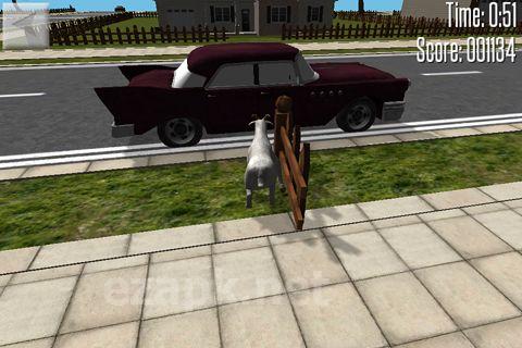 Crazy goat