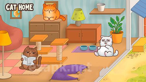 Cats house