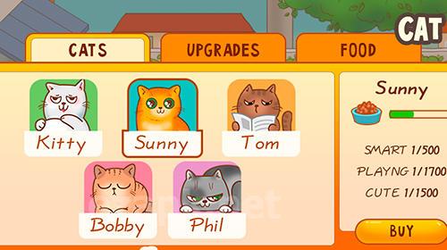 Cats house
