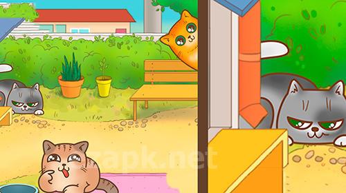 Cats house