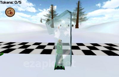 DownHill Racing