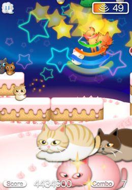 Cats away