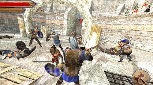 Vikings fight: North arena