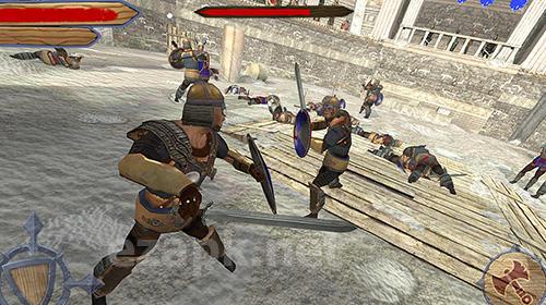 Vikings fight: North arena