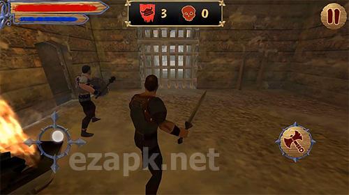 Vikings fight: North arena