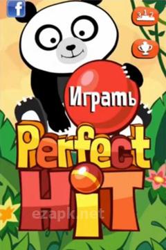 Perfect Hit!