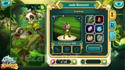 Wakfu raiders
