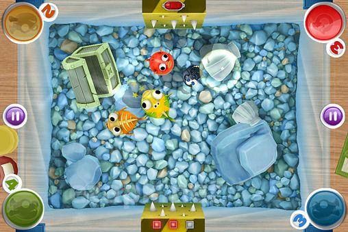 Bubble fish party