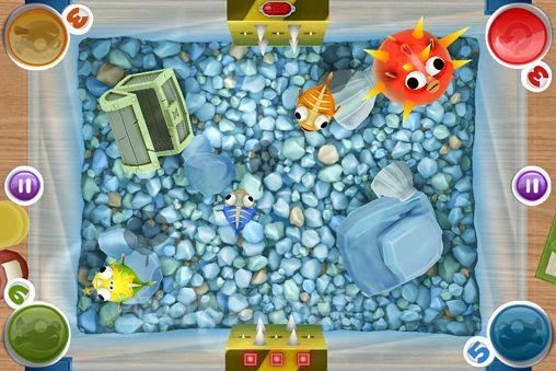 Bubble fish party