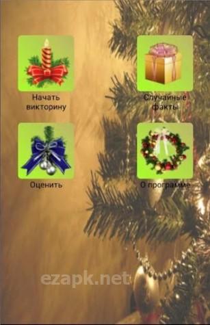 New Year quiz