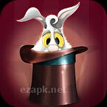 Hare in the hat
