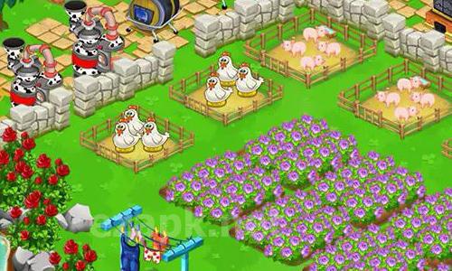Exciting farm