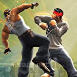 Big fighting game