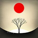 Prune