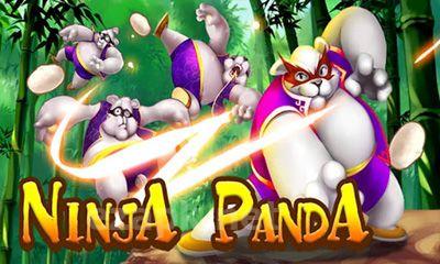 Ninja Panda