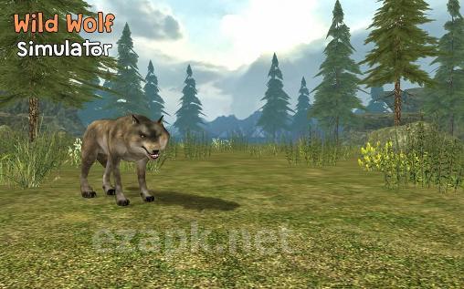 Wild wolf simulator 3D