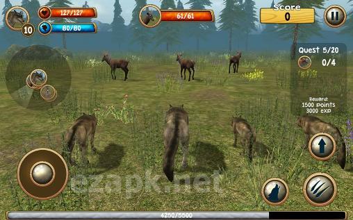 Wild wolf simulator 3D