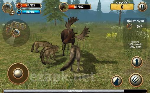 Wild wolf simulator 3D