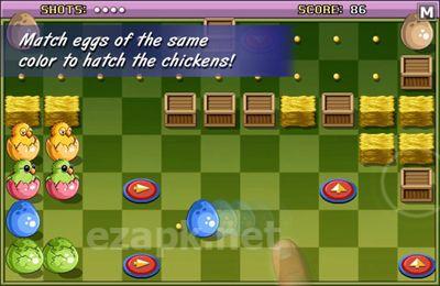 Chicken & Egg