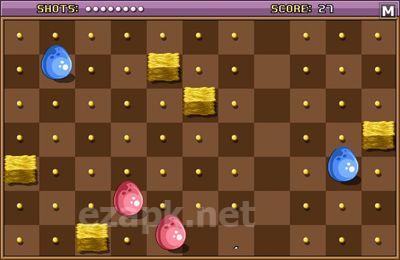 Chicken & Egg