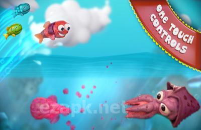Fin Friends