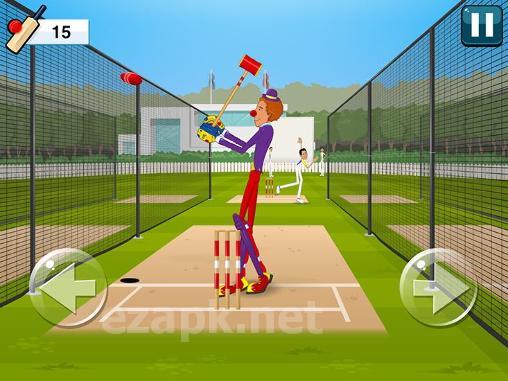 Stick cricket 2