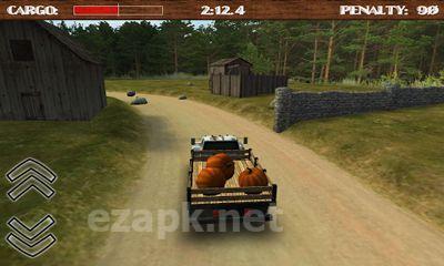 Dirt Road Trucker 3D