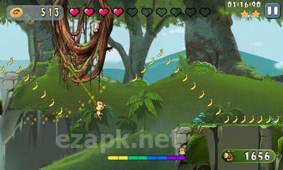 Swing Monkey